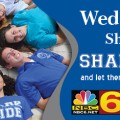 Shark Pride NBC