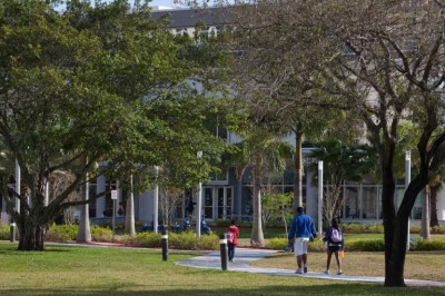 Campus Tree Care Plan