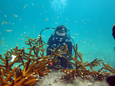 Coral Nursery data collection