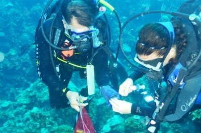 Joe and Amanda underwater research - web