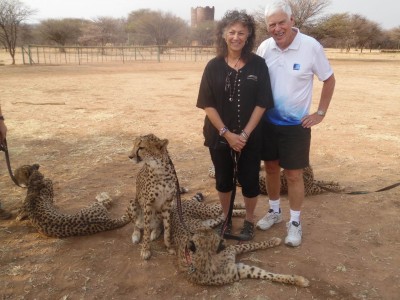 Stephen O’Brien, Ph.D., professor at NSU’s Halmos College of Natural Sciences and Oceanography, recently traveled to Namibia where he met with Laurie Marker, D.Phil., a world-leading researcher, conservationist, and founder of the Cheetah Conservation Fund (CCF). The cheetahs (seen in photo) are Africa’s most endangered big cat.