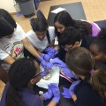 Seventh-grade students in hands-on learning and activities