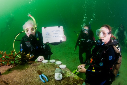 From left to right: Nova Southeastern University (NSU) President George L. Hanbury II Ph.D. joins NSU Farquhar College of Arts and Sciences undergraduate student Erica Oliva and NSU Oceanographic Center doctoral student Liz Larson, whose dissertation is on coral reefs, at the university’s offshore coral reef nursery, off the coast of Ft. Lauderdale, Fl.