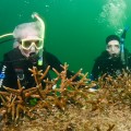 From left to right: NSU President George L. Hanbury II, Ph.D. and NSU Oceanographic Center Dean Richard E. Dodge, Ph.D.