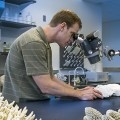 NSU Oceanographic Center graduate students Jennifer Lash and Dusty Marshall conduct a coral skeleton analysis at OC Dean Richard E. Dodge’s laboratory.