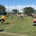 - Two teams (College of Pharmacy vs. College of Dentistry) battle it out during the tournament