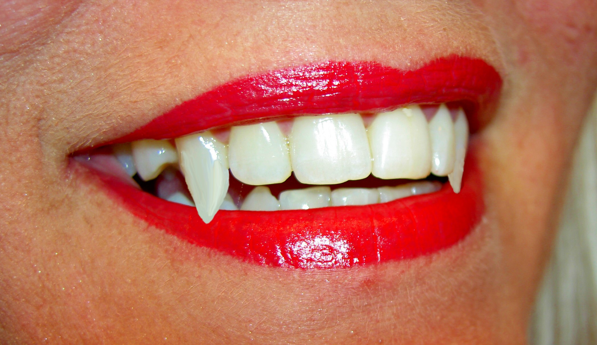 Bloody Good Faculty Lecture Book Launch To Shed Light On Vampires Oct