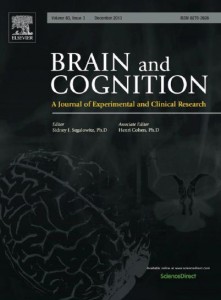 BrainCognition