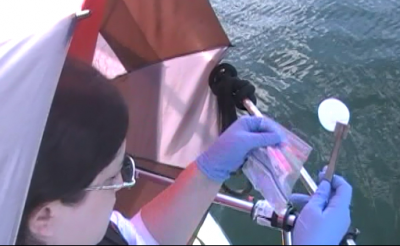Cayla Dean retrieves a membrane filter, which is used to collect DNA samples in the sea surface microlayer.