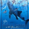 Whale Sharks of the Yucatán: A Guy Harvey Expedition
