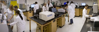 The research grant, totaling nearly half-a-million dollars, will fund new equipment and support several undergraduate and graduate research projects over the coming year at NSU.