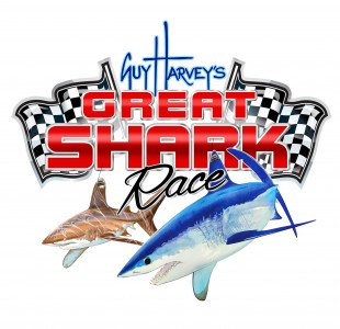 Great Shark Race Logo