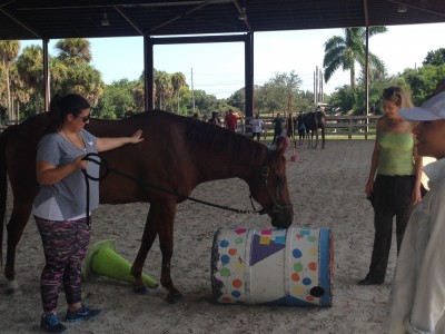 The Department of Family Therapy and Stable Place host equine assisted therapy. 