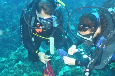 Jose Lopez, Ph.D., and Amanda Costaregni, student assistant, underwater research