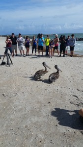 High school students at University School observed firsthand the release of three rehabilitated birds into the wild 