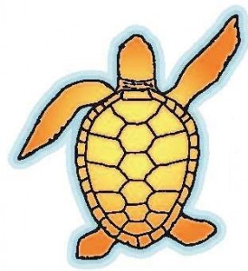 Sea Turtle Logo