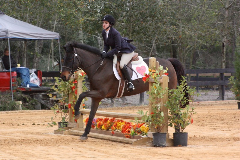 Nicole Alvarez, senior, jumping Connor in the Novice Fences. 