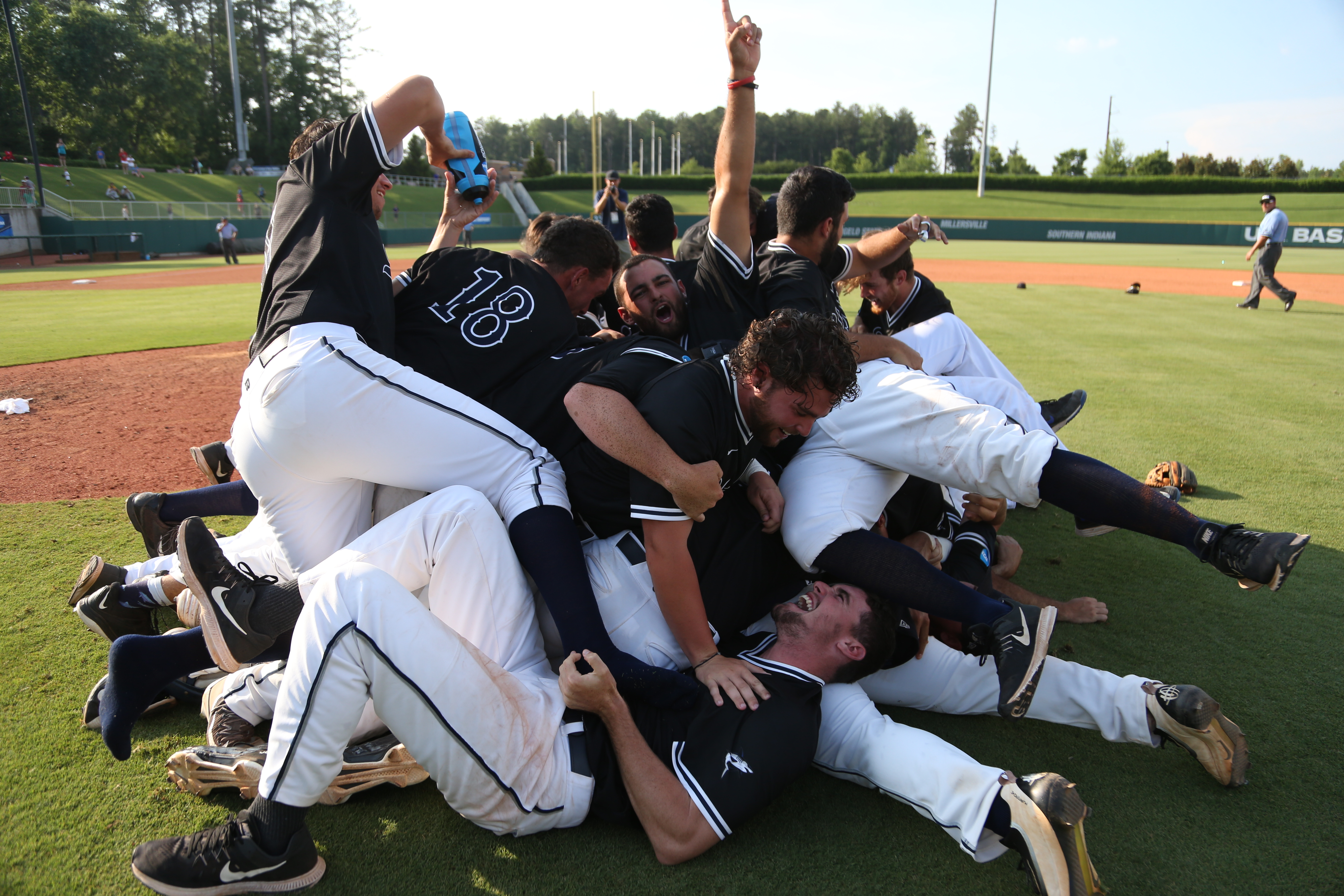 Raymond Romero - Baseball Coach - Nova Southeastern University Athletics