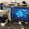 The petrographic microscope at NSU’s Oceanographic Campus is being used for analysis by Paul Baldauf, Ph.D., professor at Halmos College of Natural Sciences and Oceanography, and NSU undergraduate students Silke Dunn and Won “Jenny” Jaegal.