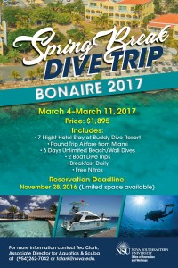 Spring Break Dive Trip 2017
