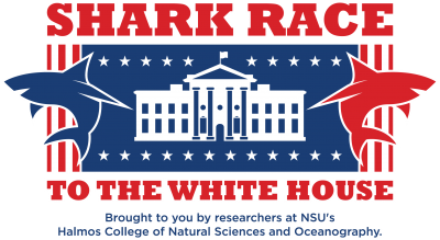 SharkRaceBanner