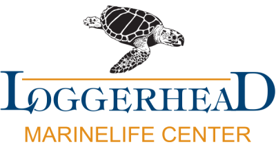 Loggerhead Marinelife Center Logo