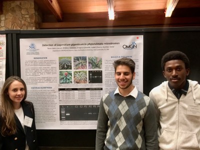 The poster presented by NSU undergraduate students Gregory Edwards, Andrew Gonedes, and Paula Leoro-Garzon (from right to left)