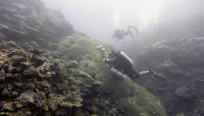 Project Baseline Fiji divers on reef