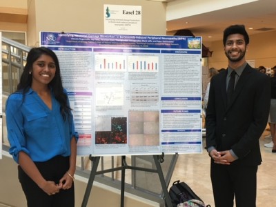 Jay Patel and Vineela Nagamalla, biology majors and honors students, received Honorable Mention for their poster titled “Identifying neuronal damage biomarkers in Bortezomib-induced peripheral neuropathy (BIPN)”