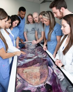 Class of 2018 students utilize the state-of-the-art Anatomage Table.