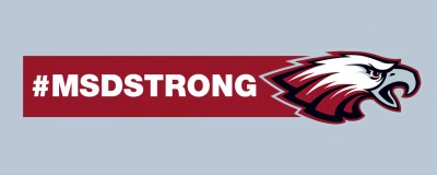 MSDStrong